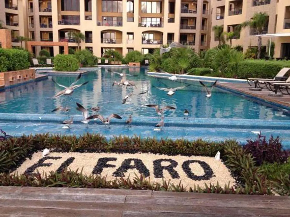 신데 델 카르멘 El Faro 305 Reef 아파트 신데 델 카르멘